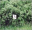 DSCF7425.JPG