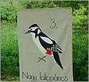 DSCF7453.JPG