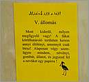 DSCF7490.JPG