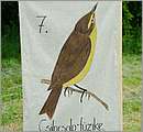 DSCF7513.JPG