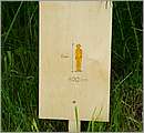 DSCF7518.JPG