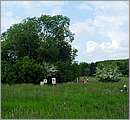 DSCF7528.JPG