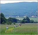 DSCF7530.JPG