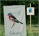 DSCF7538.JPG