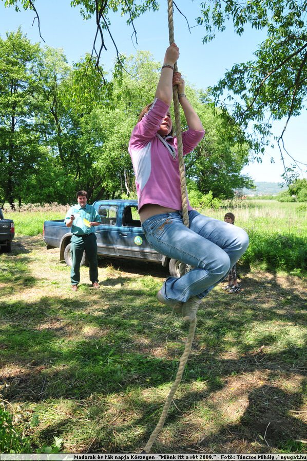 DSC_4368.JPG