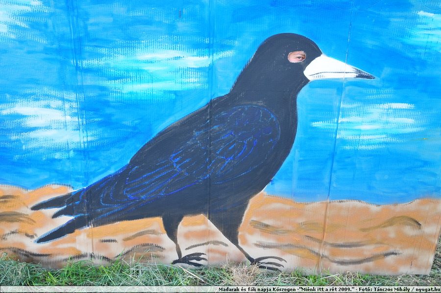 DSC_4419.JPG