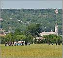 DSC_4326.JPG