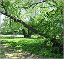 DSC_4352.JPG