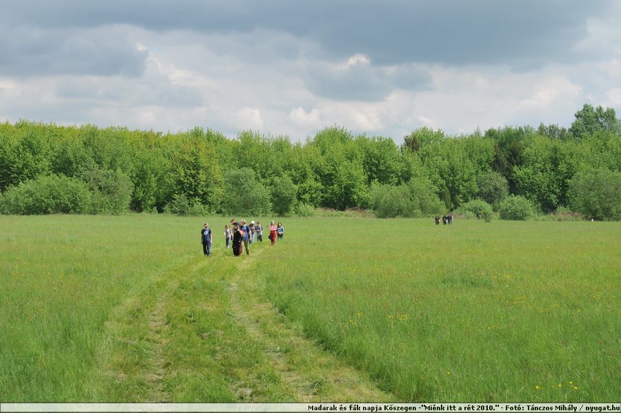 DSC_2479.JPG