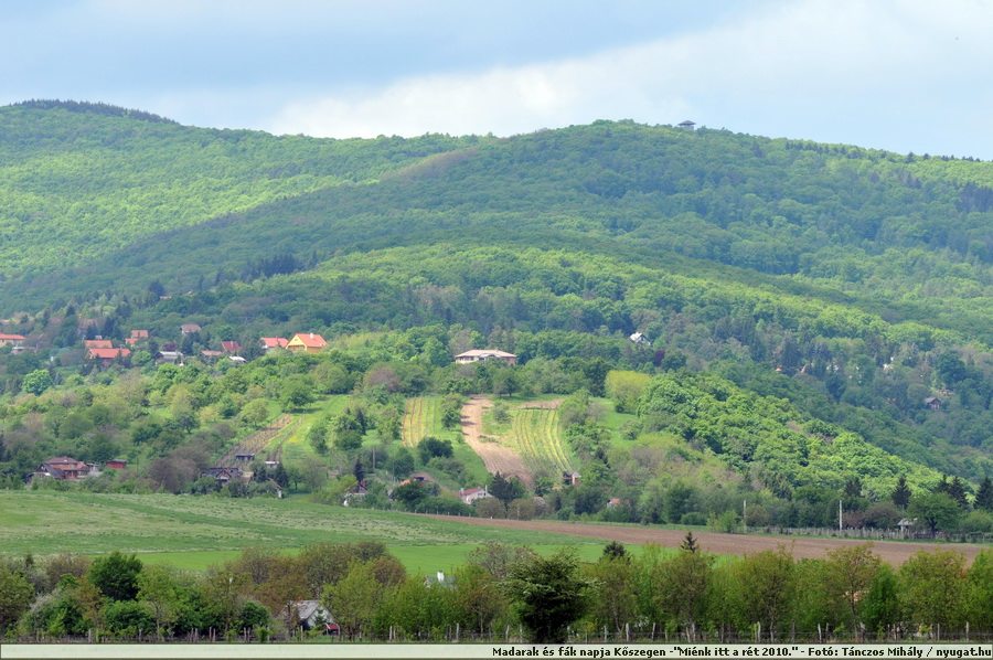 DSC_2488.JPG
