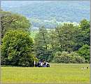 DSC_2495.JPG