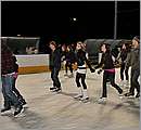 DSC_0231.JPG
