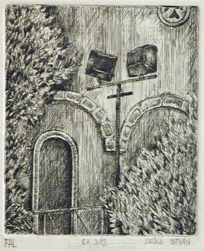 SzucsIstvan_Fal.jpg