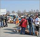 DSC_2504.JPG