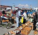 DSC_2519.JPG