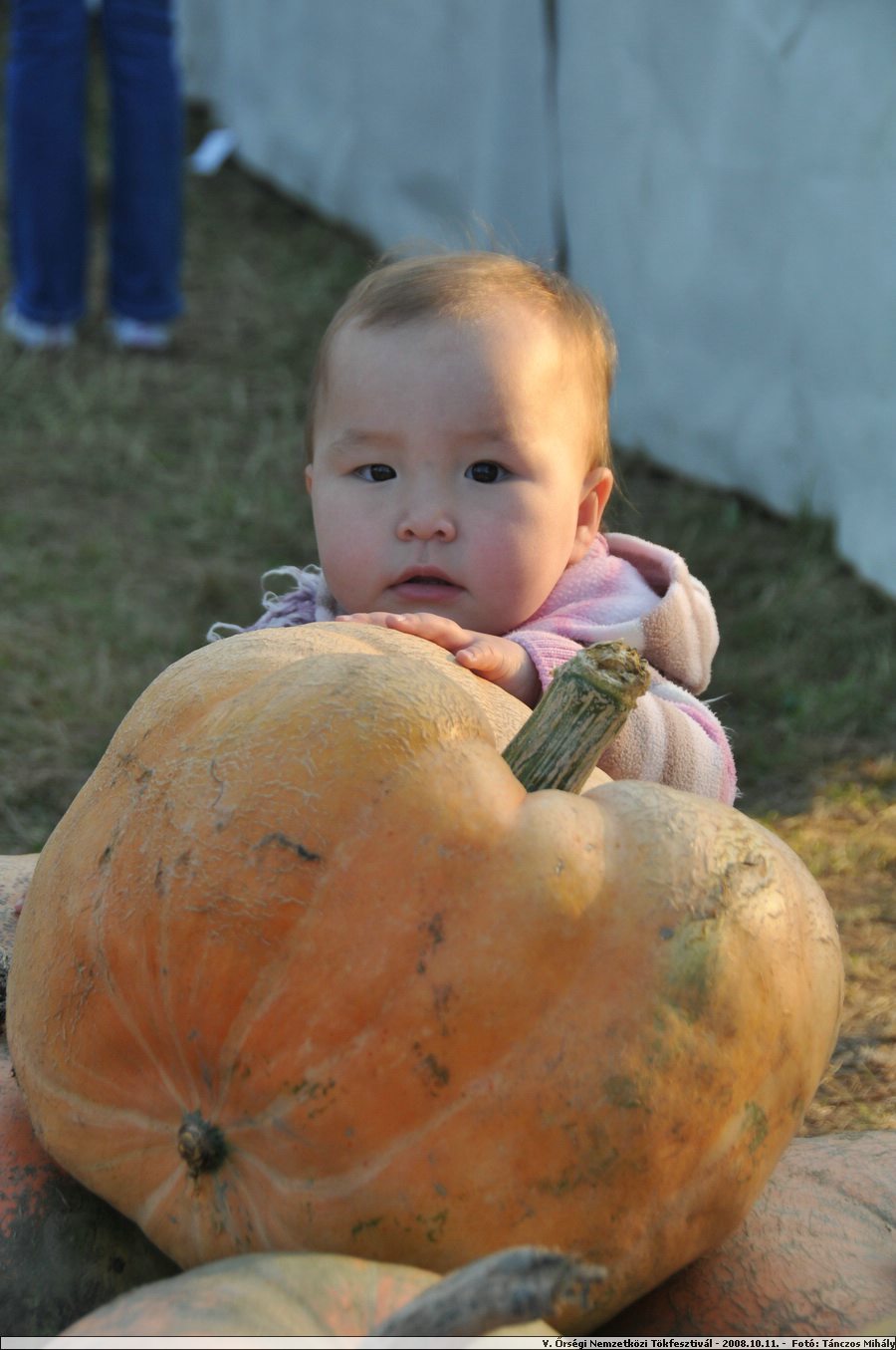 DSC_4289.JPG