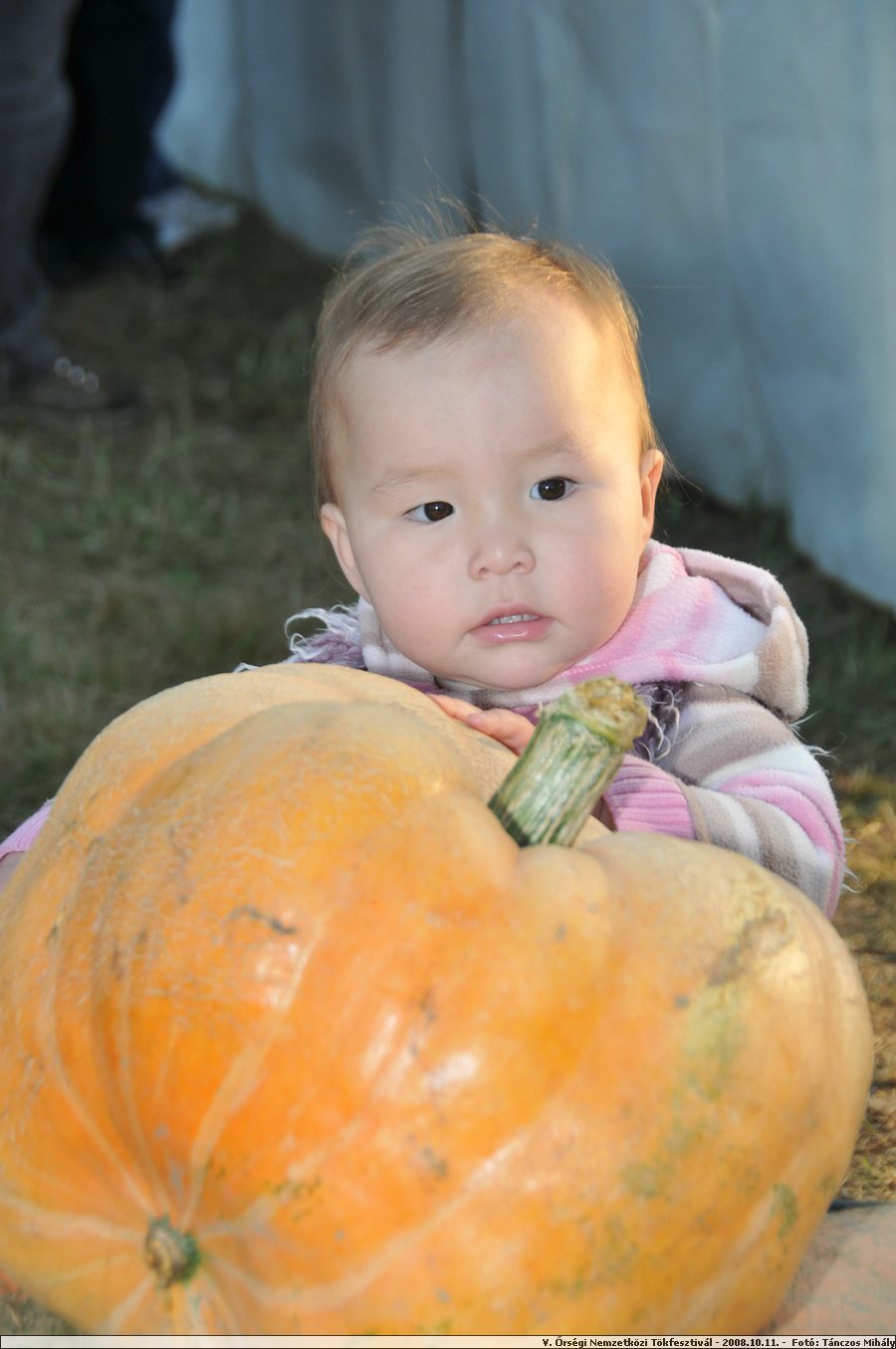 DSC_4297.JPG