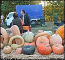 DSC_4326.JPG