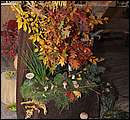 DSC_4420.JPG