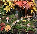 DSC_4424.JPG