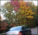 DSC_4430.JPG