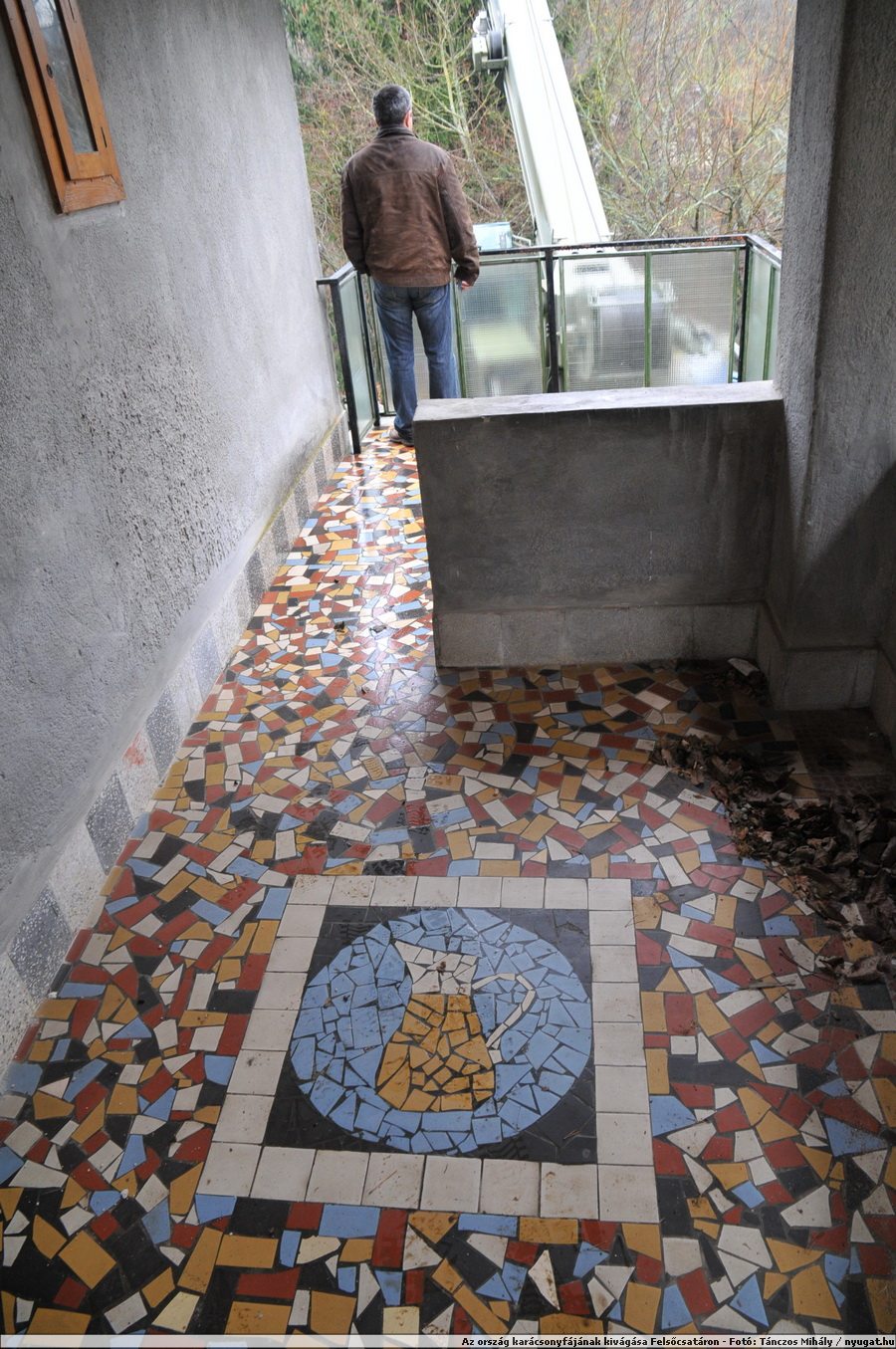 DSC_0500.JPG