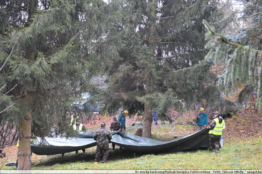 DSC_0535_bl_ponyva.JPG