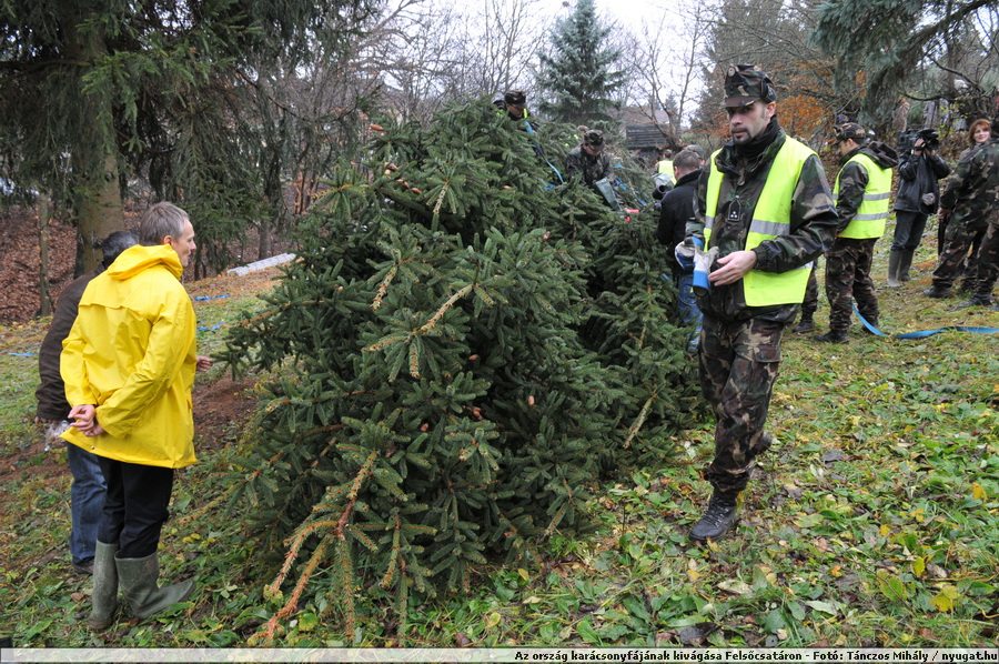 DSC_0623.JPG