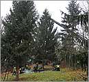 DSC_0533.JPG