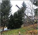 DSC_0563.JPG