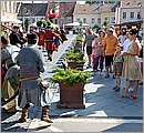 DSC_3170.JPG