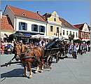 DSC_3375.JPG