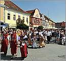 DSC_3381.JPG