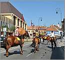 DSC_3468.JPG