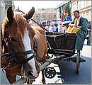 DSC_3472.JPG