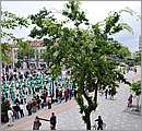 DSC_4495.JPG