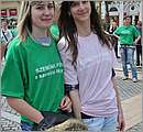 DSC_4552.JPG