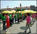 DSCF8424.jpg
