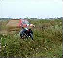 DSCF2079.jpg