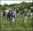 DSCF2247.jpg