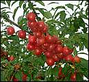 DSCF2281.jpg