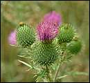 DSCF2301.jpg