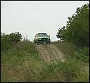 DSC_4450.jpg