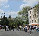 DSC_7807.JPG