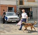aDSC_7948.JPG