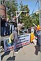 DSC_6973.JPG