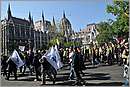 DSC_7081.JPG