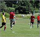 DSC_6457.JPG