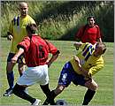 DSC_6460.JPG