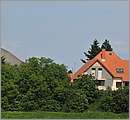 DSC_5309.JPG